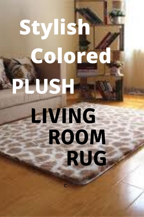 Stylish Colored Plush Living Room Rug