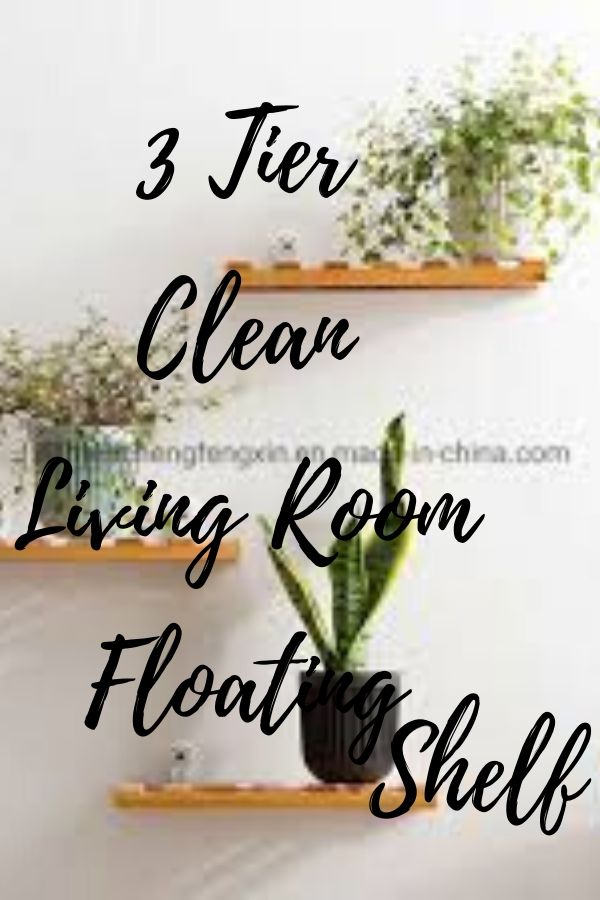 3 Tier Clean Living Room Floating Shelf